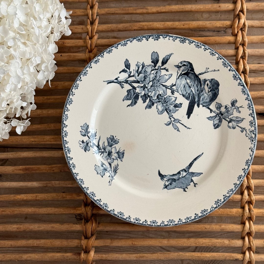 40439-极稀法国古董SARREGUEMINES  DIGOIN FAVORI浅盘22.5cm - 盘子/餐盘/盘架 - 瓷 