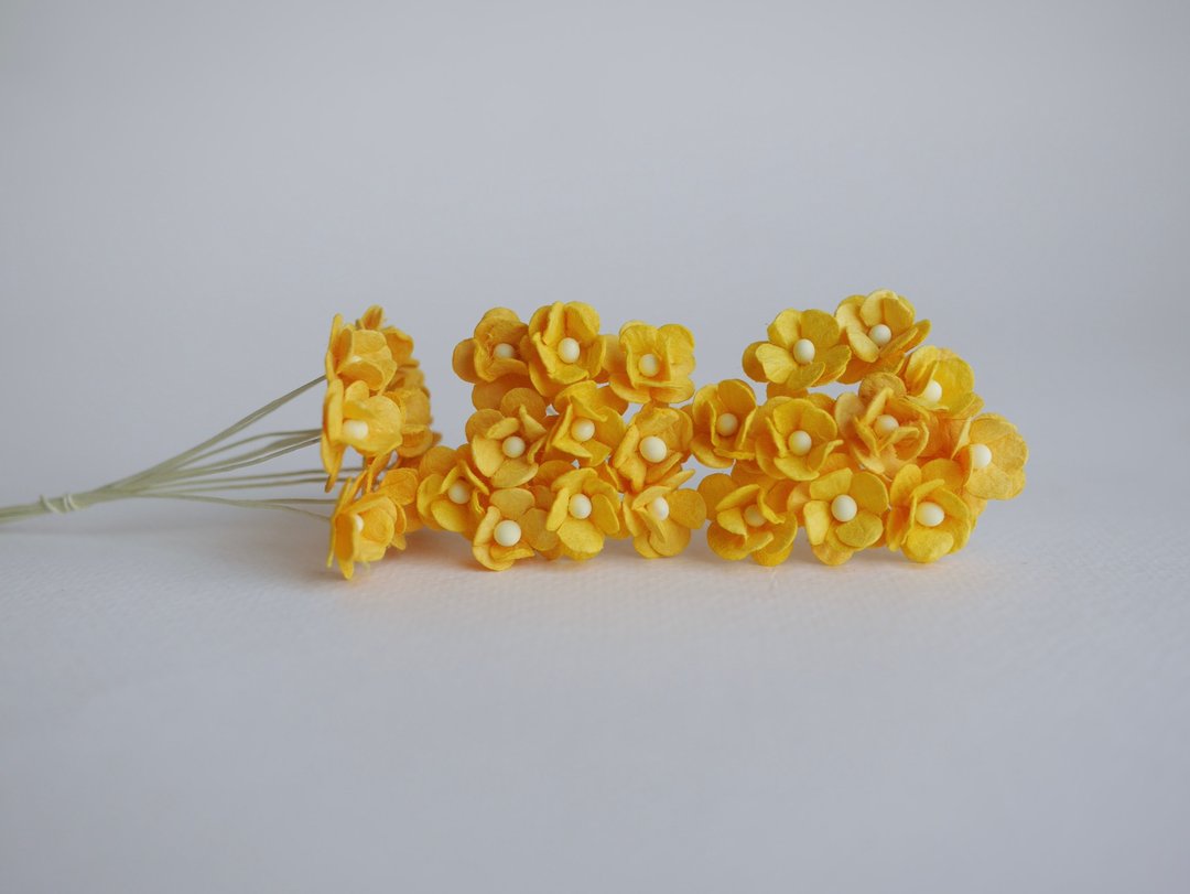纸花，用品，100 件。加拿大海葵，尺寸 1.5 厘米，黄色 - 其他 - 纸 橘色