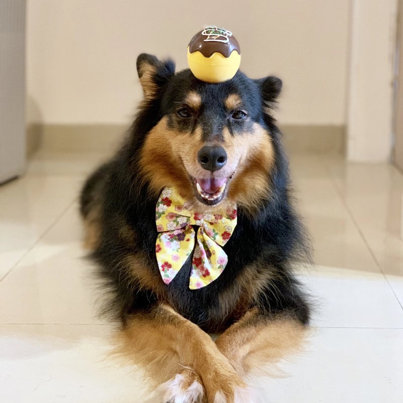 【TAKE A BOW】手作宠物和风蝴蝶结 - HANA TAIYO - 衣/帽 - 棉．麻 黄色