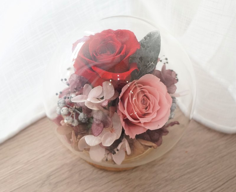 胭脂红 莓果色 永生花 伴娘礼  生日礼物 毕业礼物 毕业季 谢师礼 - 干燥花/捧花 - 植物．花 多色