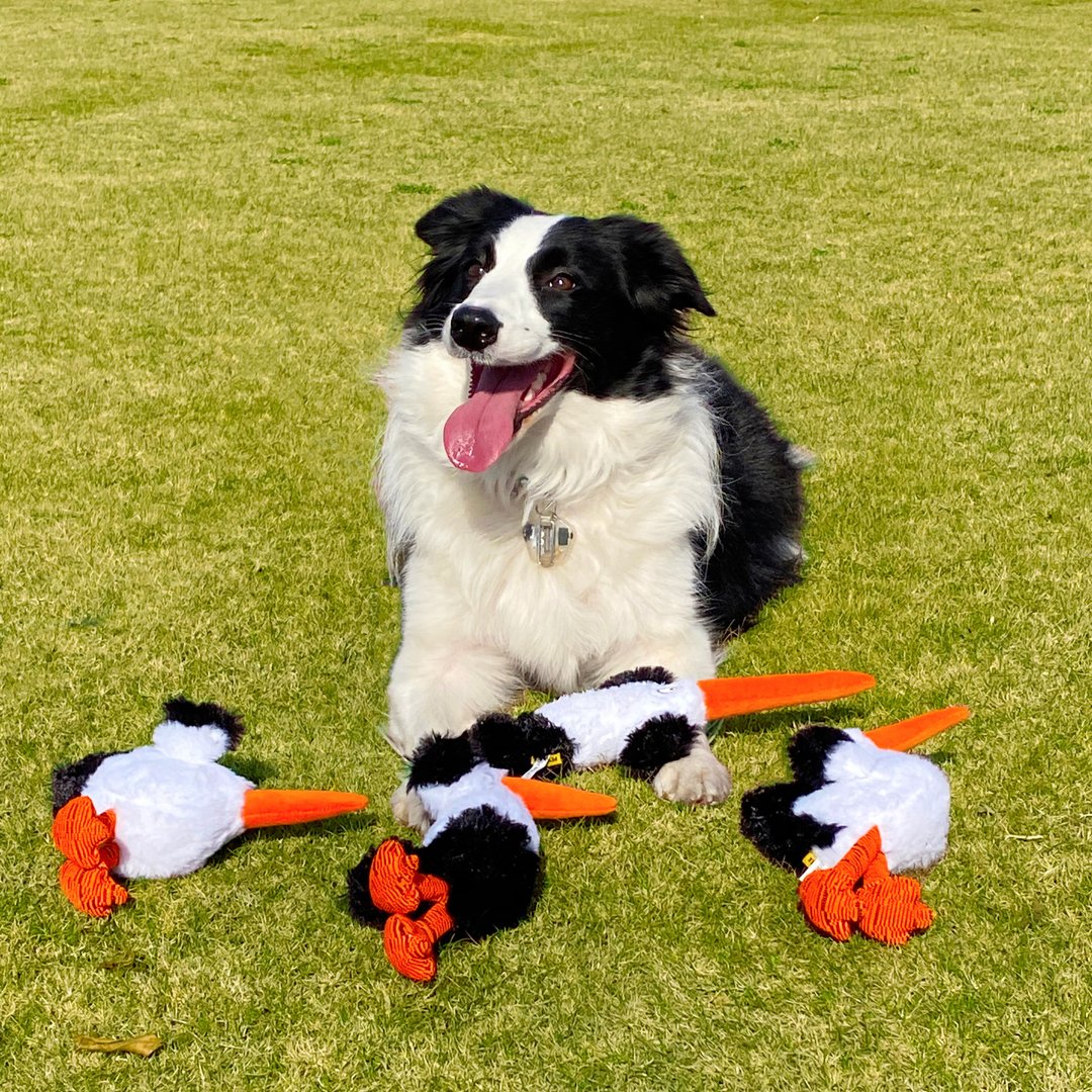 【犬猫玩具】Petsville派思维  毛毛丝袜小鸟(4款) - 玩具 - 玩具 - 聚酯纤维 白色