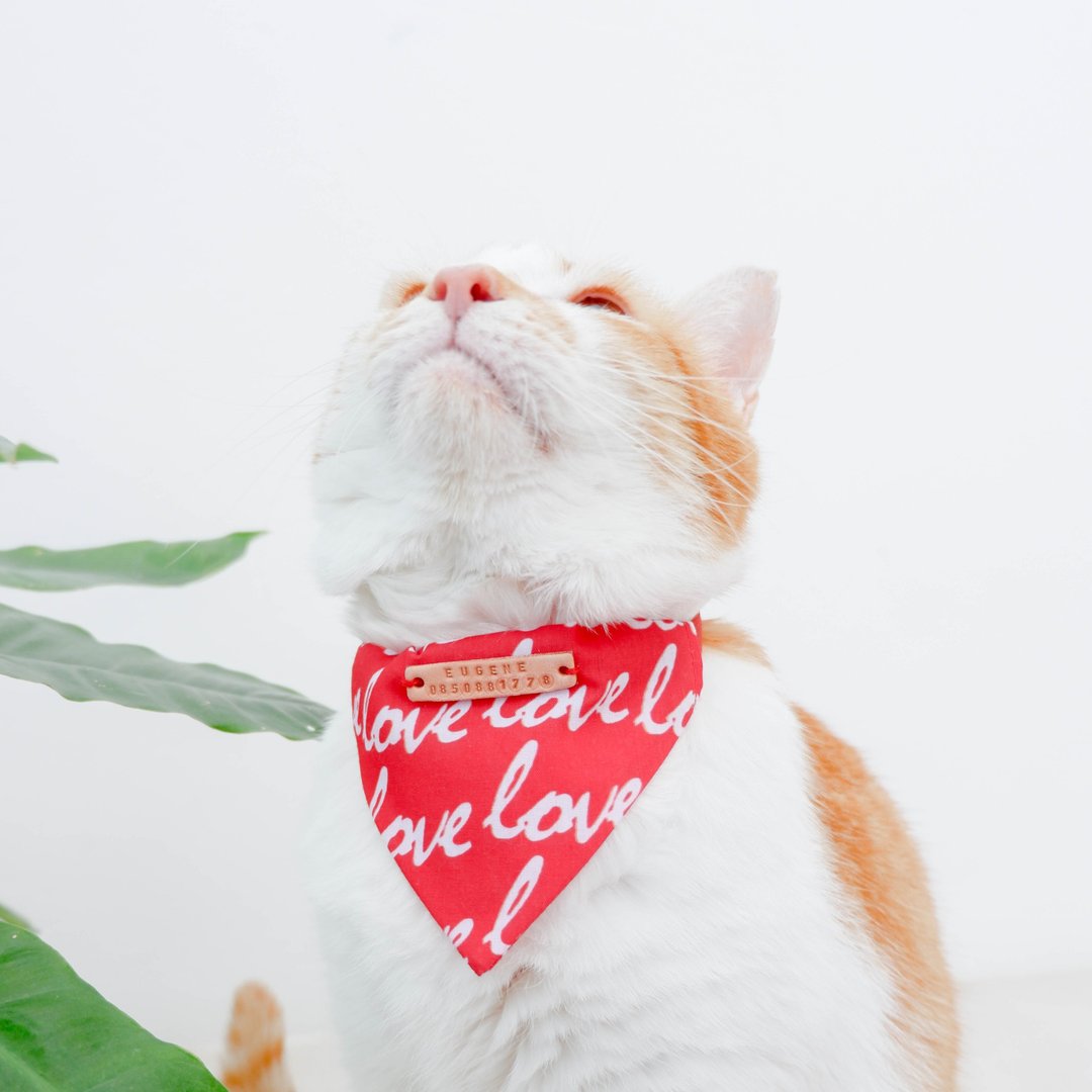Valentine's Day Cat  -Love-Red- removable Bandana for Cat Collar - 衣/帽 - 棉 红色