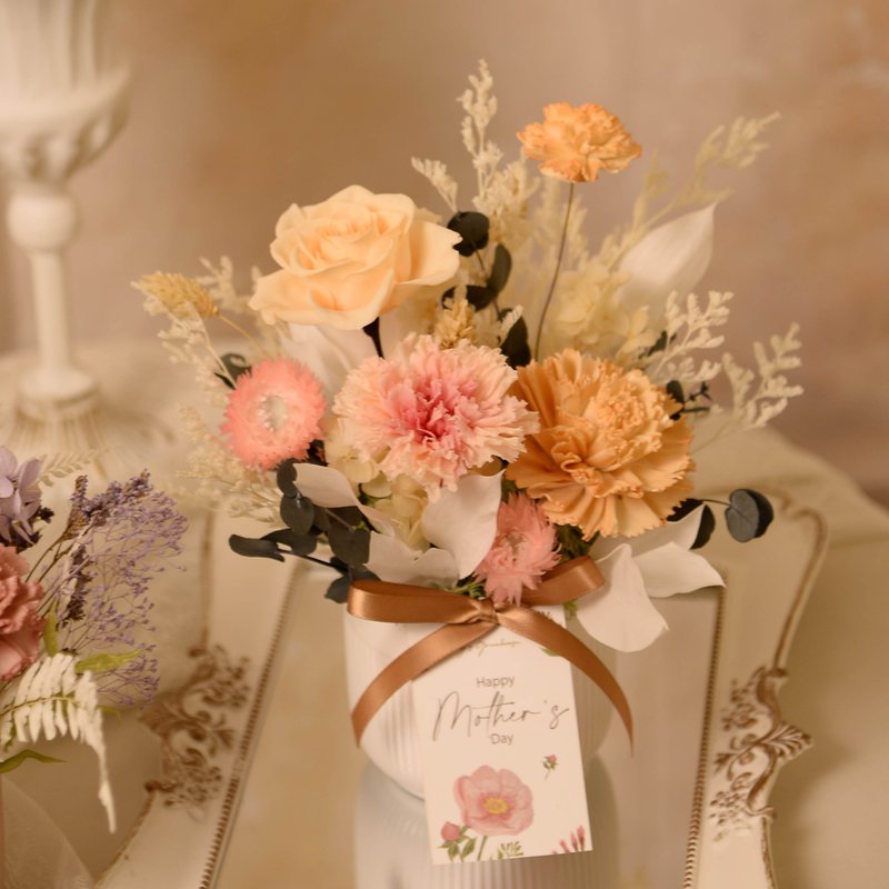 【气质】母亲节 粉肤色永生康乃馨盆花 桌花  干燥花 永生花 - 干燥花/捧花 - 植物．花 橘色