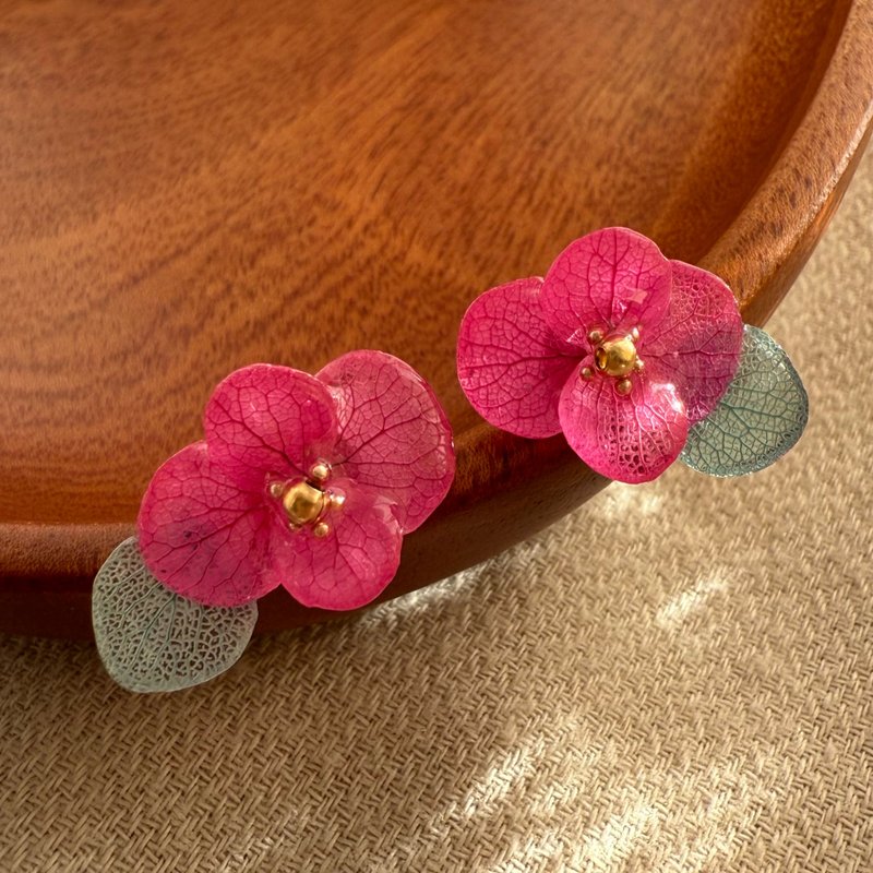 晴妍 玫 | 手作真花绣球花耳环 耳夹 - 耳环/耳夹 - 树脂 