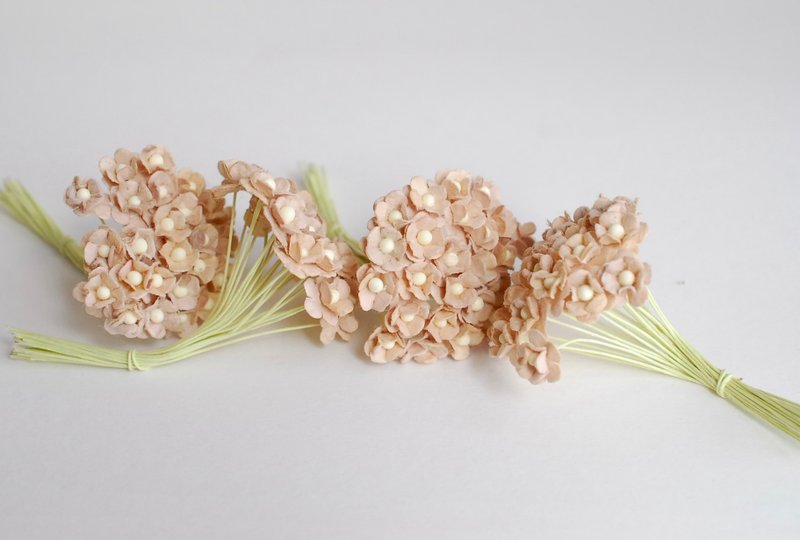 纸花，用品，100 件。加拿大海葵，尺寸 0.8 厘米，棕 - 其他 - 纸 卡其色