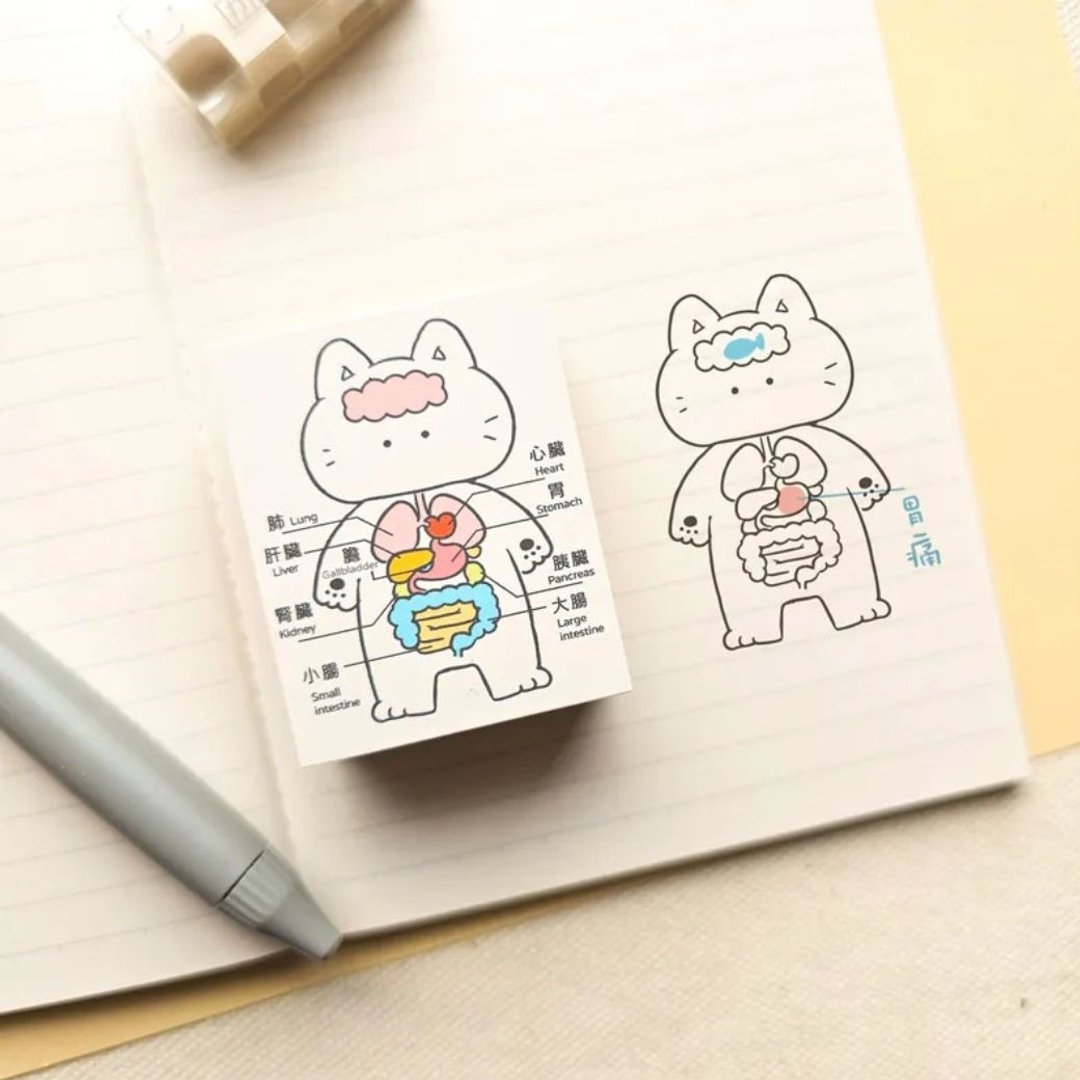 【猫猫手帐奶霜印章】人体图 LCJ-15 - 印章/印台 - 其他材质 