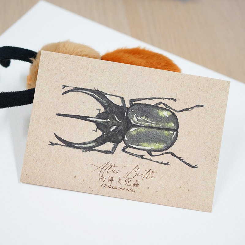 【甲虫先生 - 南洋大兜虫】水彩插画 明信片 昆虫 自然 - 卡片/明信片 - 纸 咖啡色