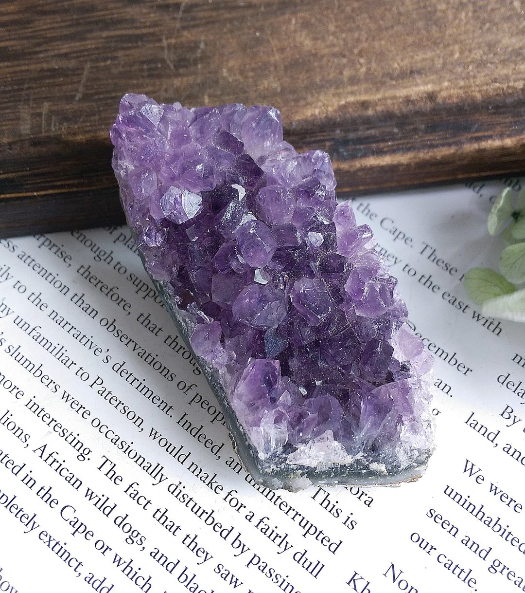 Amethyst 巴西产地 原皮紫水晶  晶簇 天然矿石 原矿 - 摆饰 - 其他材质 
