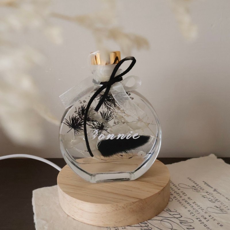 闪耀黑永生花浮游花夜灯 毕业 生日 情人节周年礼物 - 灯具/灯饰 - 植物．花 多色