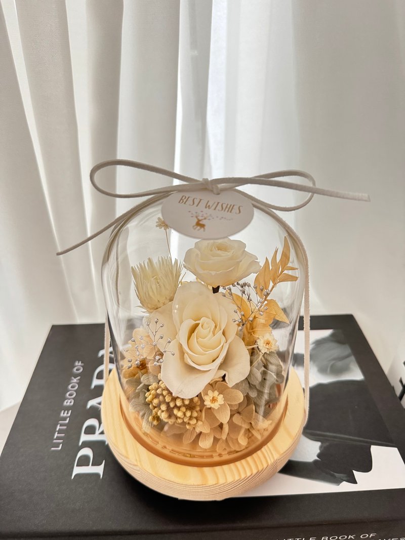 永生花玻璃花盅 夜灯  白色系 - 干燥花/捧花 - 植物．花 