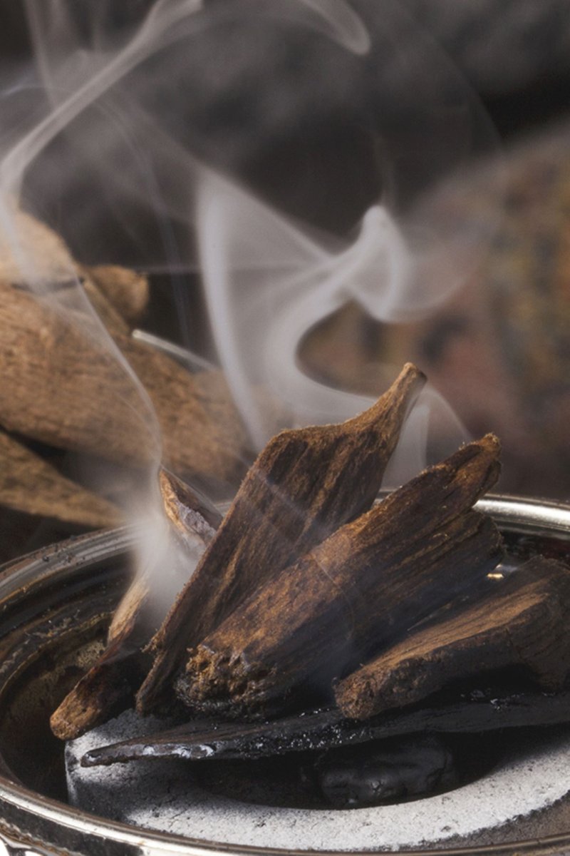 5ml 香薰精油 - Smoked Oud - 香薰/精油/线香 - 精油 白色