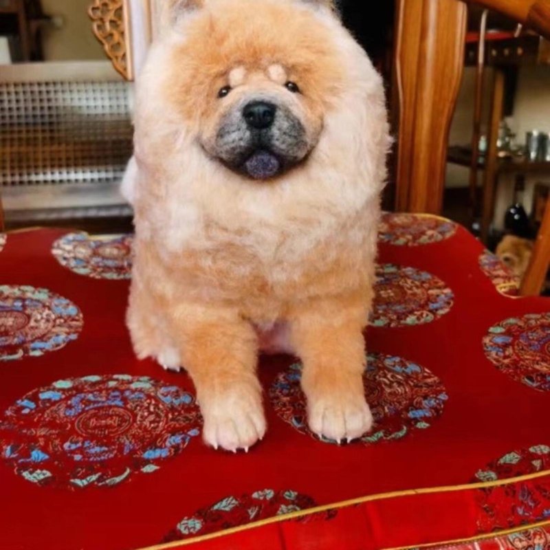 客制化逼真犬 羊毛毡 松狮犬  宠物 娃娃 定制 手工 狗狗猫咪 252 - 玩具 - 羊毛 多色