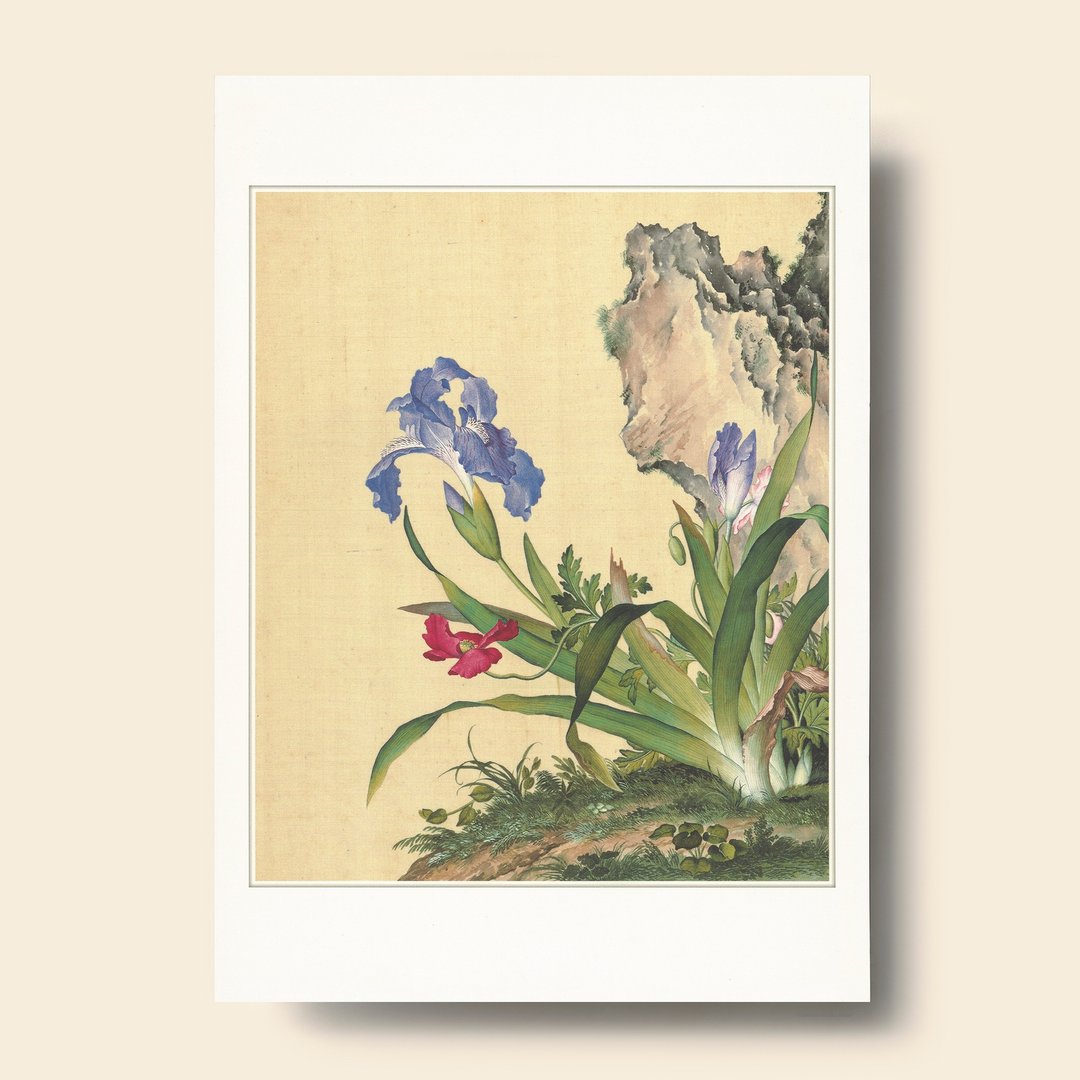 【B4 艺术画卡・B4 Poster】郎世宁・仙萼长春 虞美人 - 海报/装饰画/版画 - 纸 卡其色