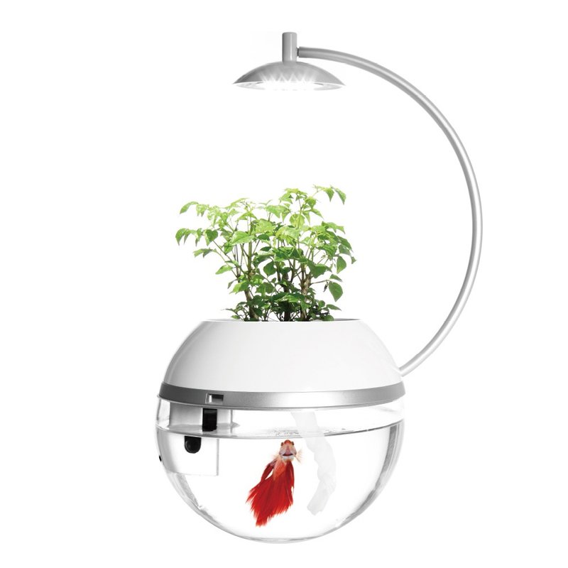 香草与鱼 鬪 Herb&Fish Fight - 植栽/盆栽 - 铝合金 