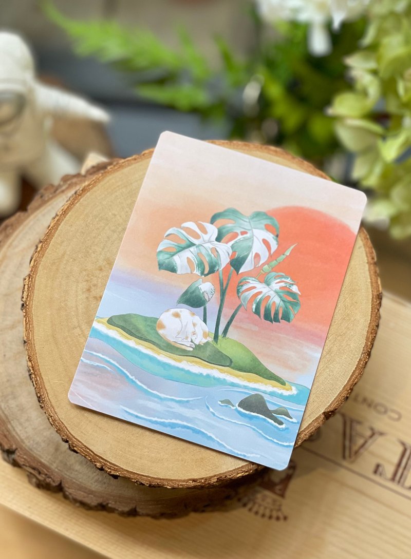 小花猫的白斑龟背芋小岛 明信片 - 卡片/明信片 - 纸 橘色