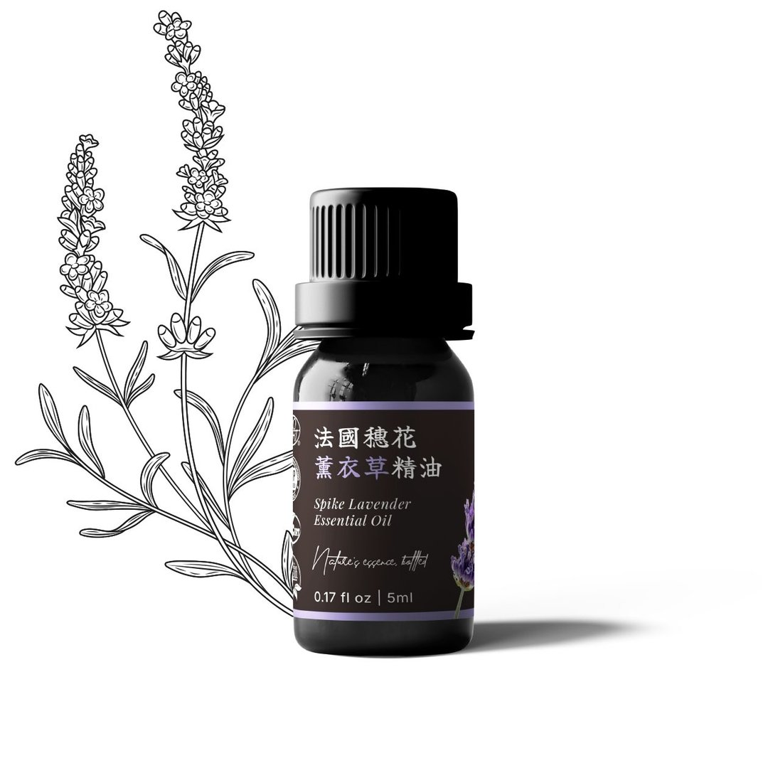 【卡佛香】法国穗花薰衣草精油 - 香薰/精油/线香 - 玻璃 黑色