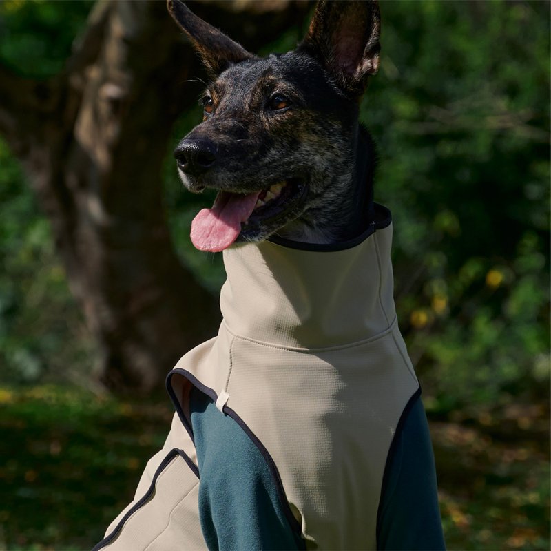 防泼水跑跑衣(燕麦)_PAO4_S-6L,FB  方便快穿 透气舒适 机能衣 - 衣/帽 - 聚酯纤维 