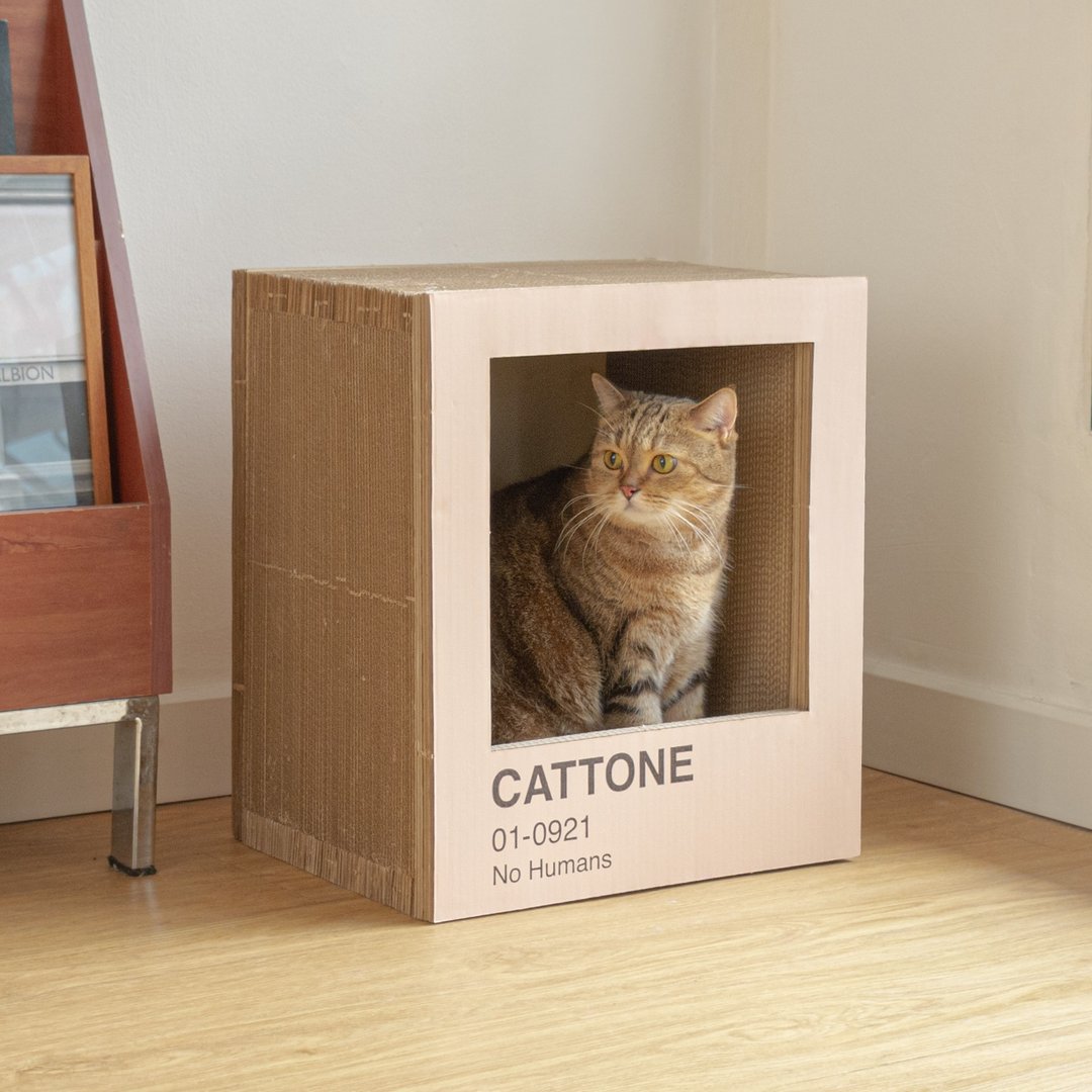 CATTONE 猫抓板 - 抓板/跳台 - 纸 粉红色