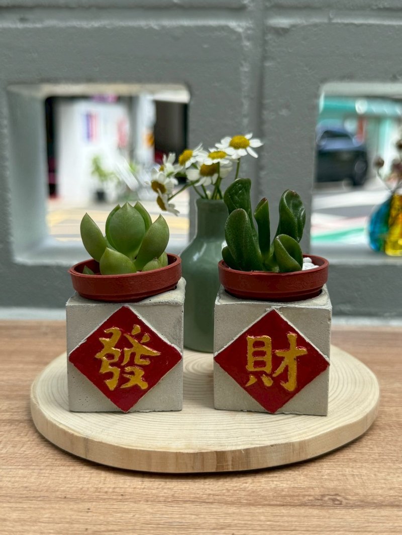 送包装 交换礼物 发财组 磁铁盆栽 送多肉 - 植栽/盆栽 - 水泥 红色