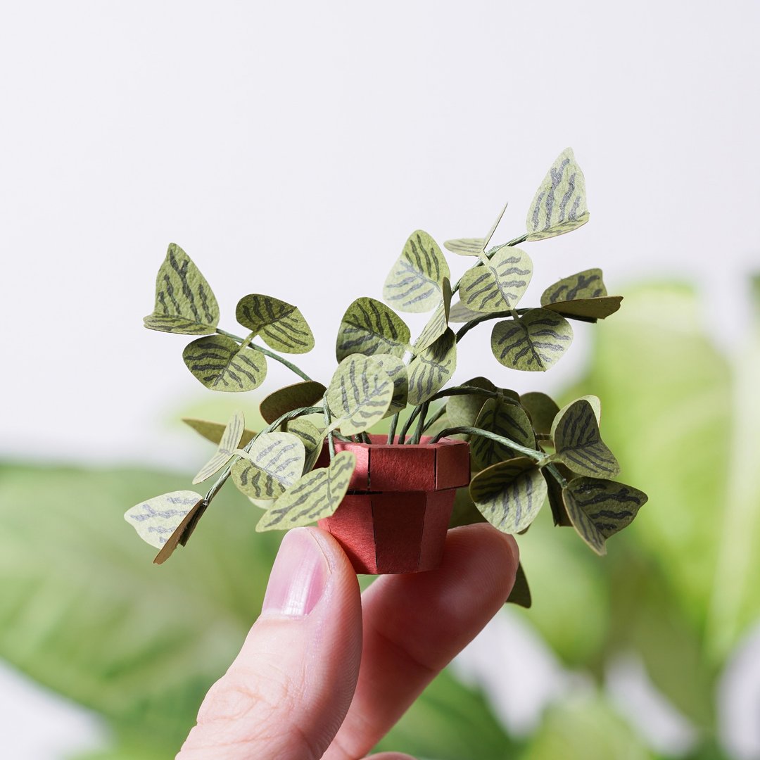 【纸植栽 DIY材料包 S】 蝙蝠草 | 9028401 纸风景 - 木工/竹艺/纸艺 - 纸 绿色