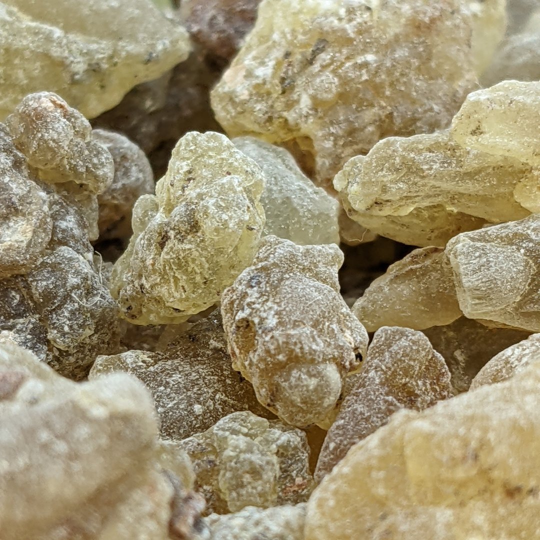 绿精灵 琥珀乳香树脂 15g  天然香材 颗粒状  清甜轻盈树脂香气 - 香薰/精油/线香 - 树脂 