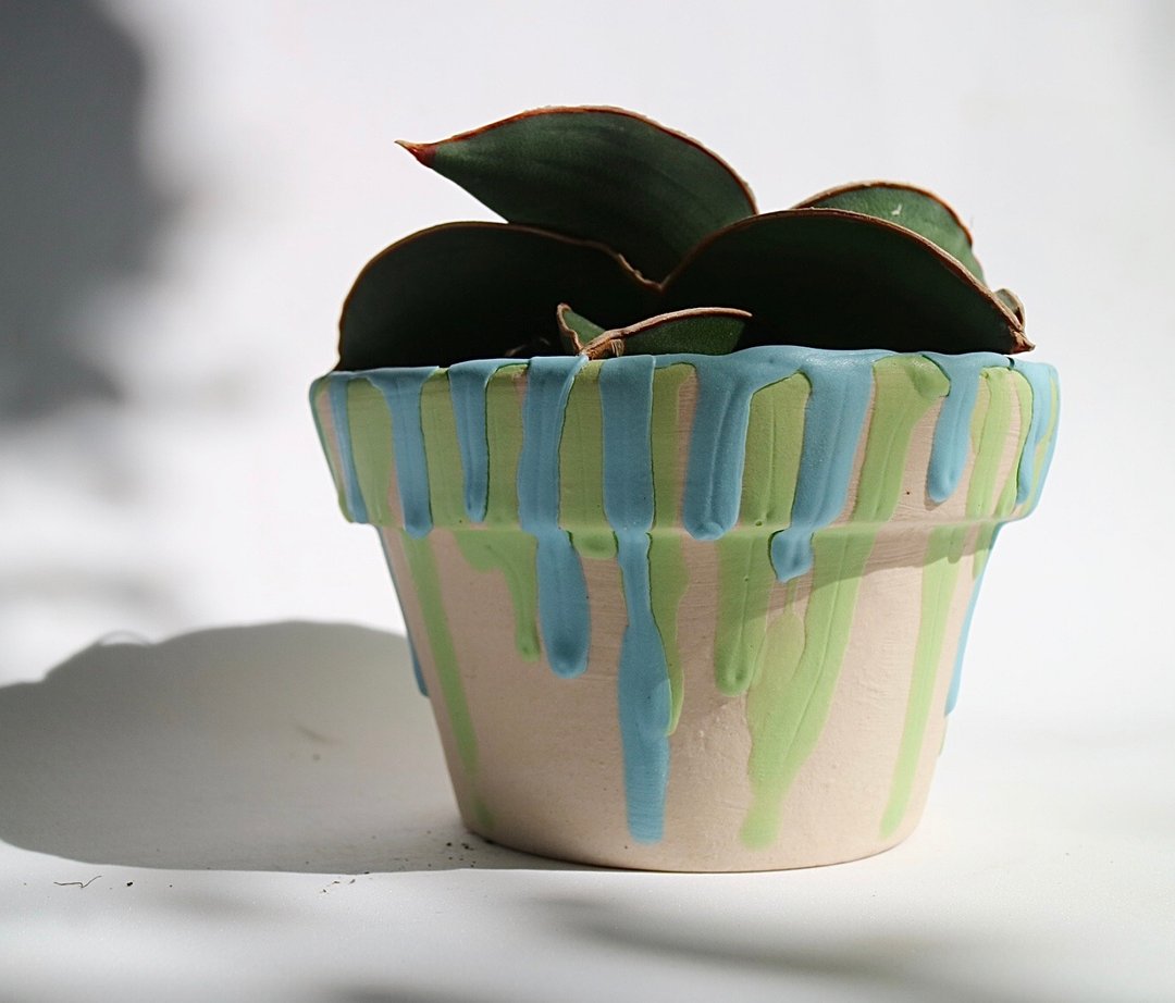 Blue-green cupcake-shaped plant pot - 植栽/盆栽 - 陶 