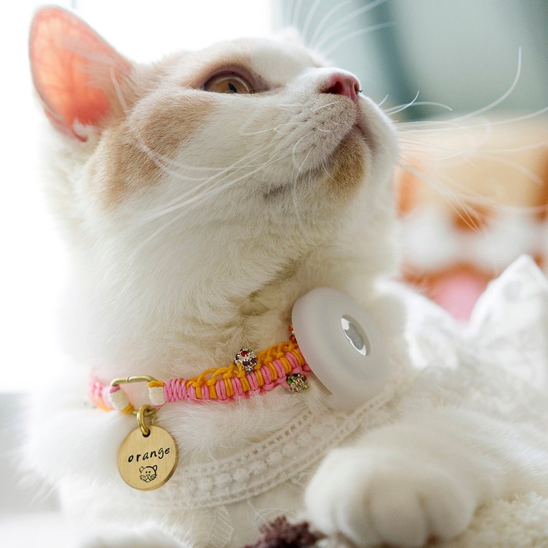 猫猫小型犬彩珠编织项圈 - 项圈/牵绳 - 其他金属 