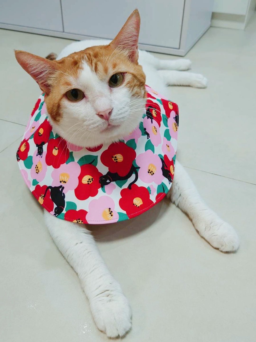 猫咪专用防水头套 头罩 - 项圈/牵绳 - 防水材质 粉红色
