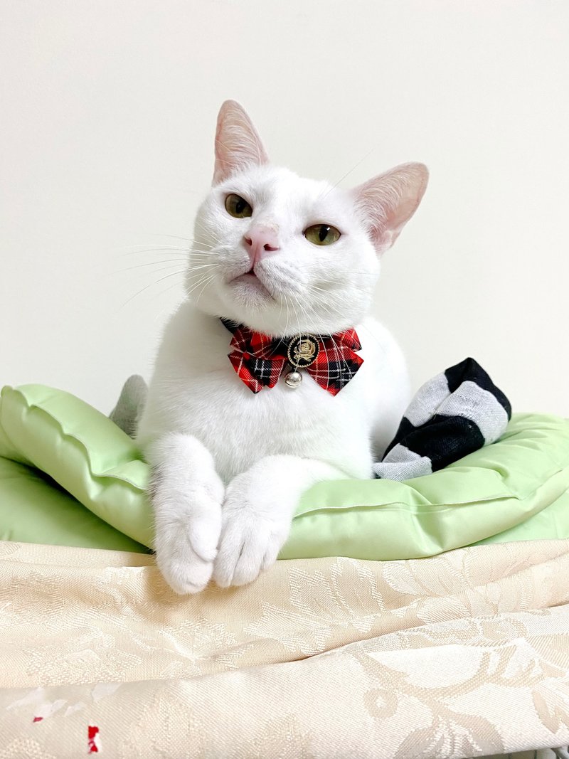 猫咪狗狗兔子鸭子-小型(P-S)-三角巾领巾项圈项链 猫咪安全扣 - 项圈/牵绳 - 其他材质 多色