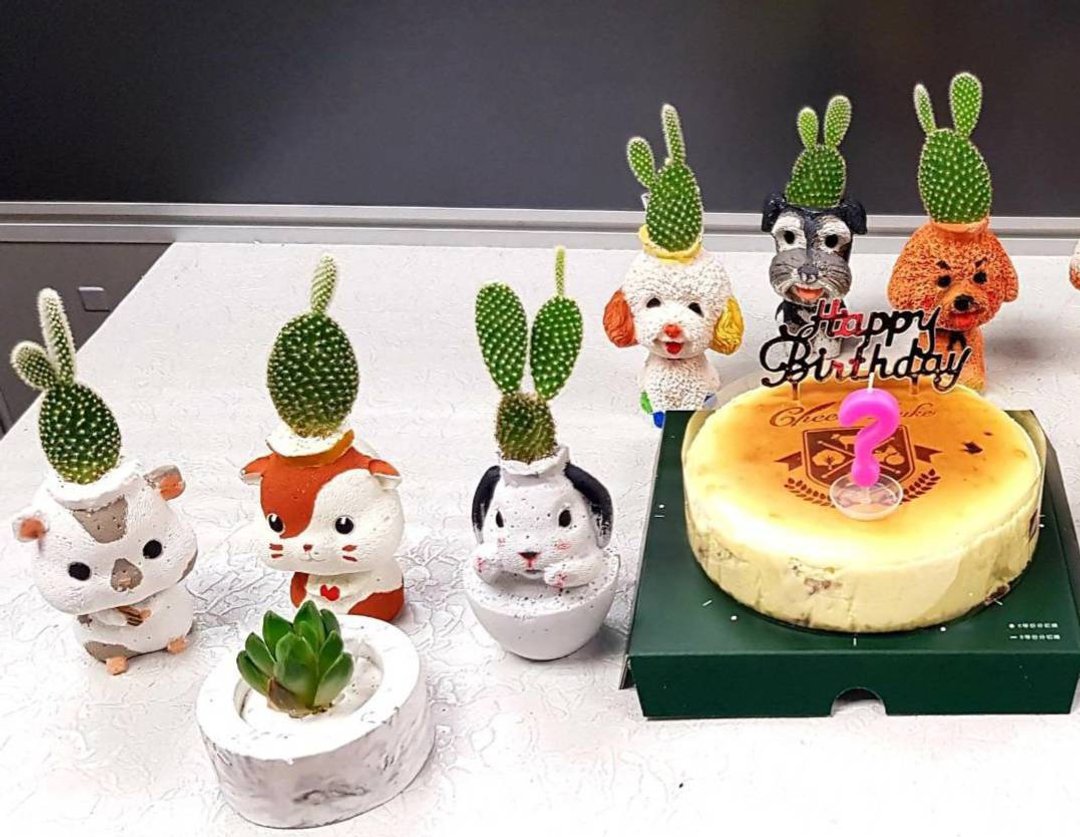 【单身限定】手作植物盆栽爱在指尖萌芽 - 植栽 - 植物．花 