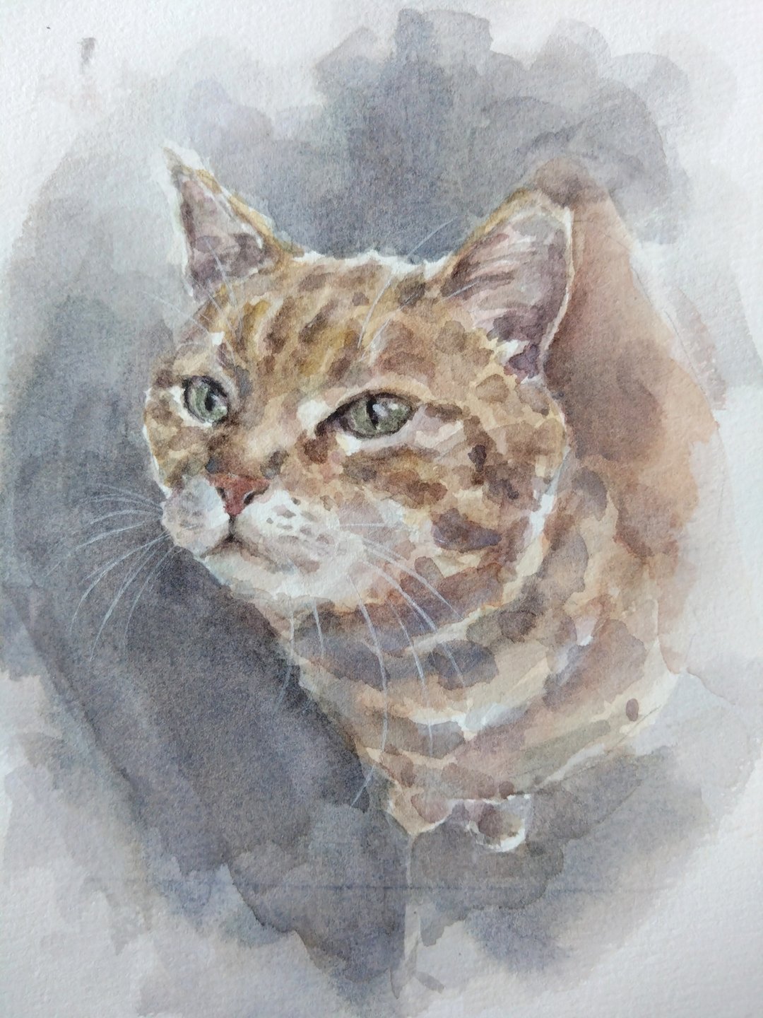 【定制】宠物/动物水彩画 手绘画 连框 - 订制画像 - 纸 白色
