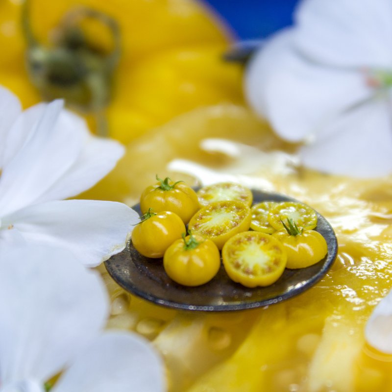 教学：用软陶制作微型大黄色番茄藤| PDF+影片 - 手工艺教程/工具书 - 其他材质 