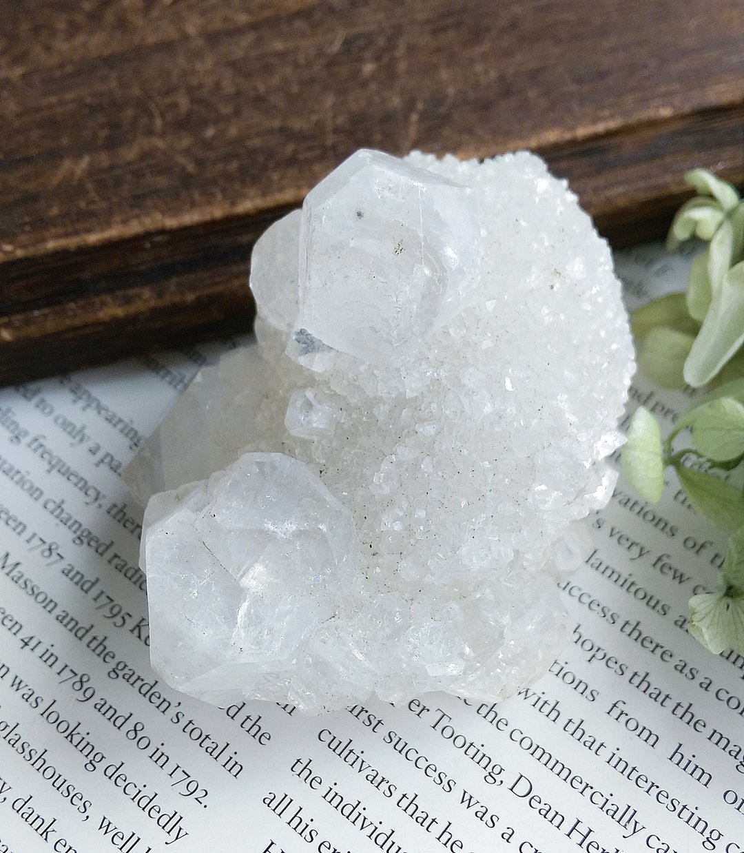 Apophyllite 印度产地 鱼眼石 天然矿石 原矿 - 摆饰 - 其他材质 