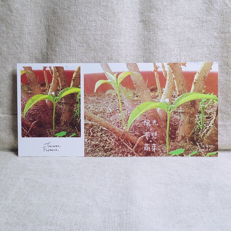 【存根明信片】-萌芽-逐梦推荐款 - 卡片/明信片 - 纸 咖啡色