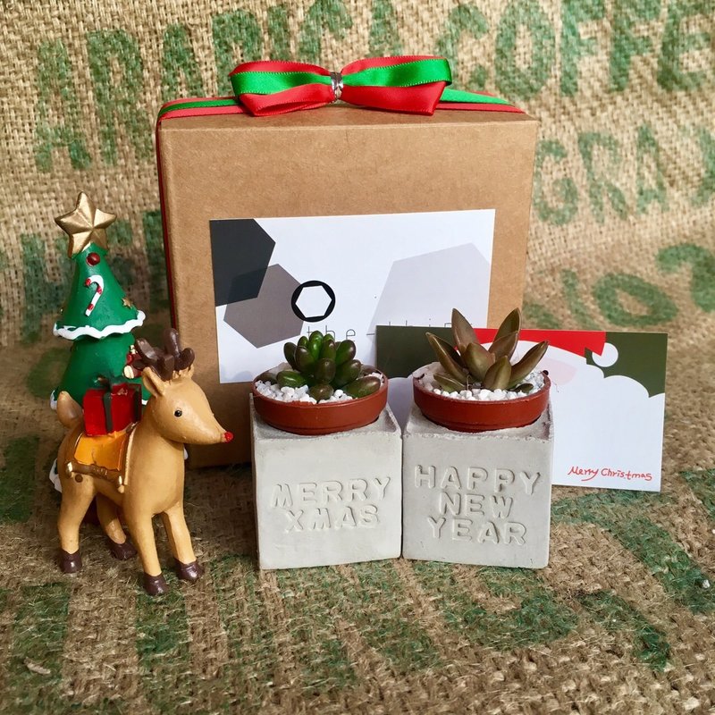 圣诞节交换礼物！圣诞快乐！多肉小盆栽～*merry xmas&happy new year - 植栽/盆栽 - 水泥 红色