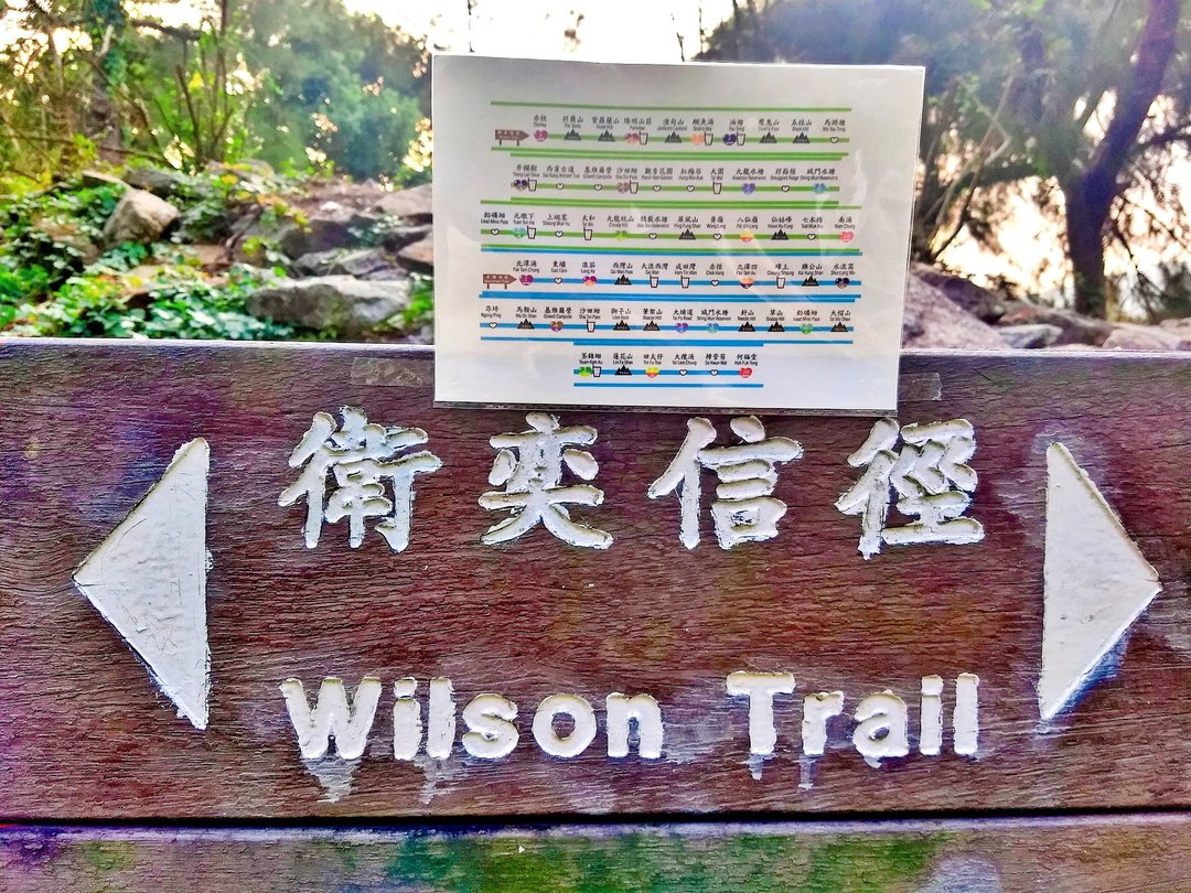 香港行山径纸胶带(麦理浩径,卫奕信径) - 纸胶带 - 纸 绿色