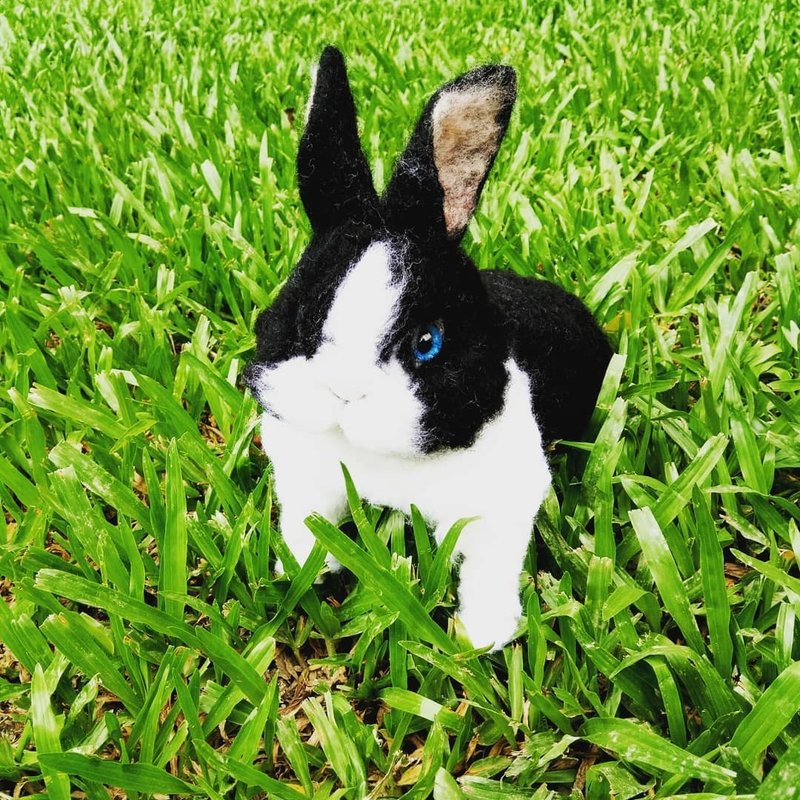 订制羊毛毡宠物-兔子 (定制化全身植毛) - 订制抱枕/饰品 - 羊毛 黑色