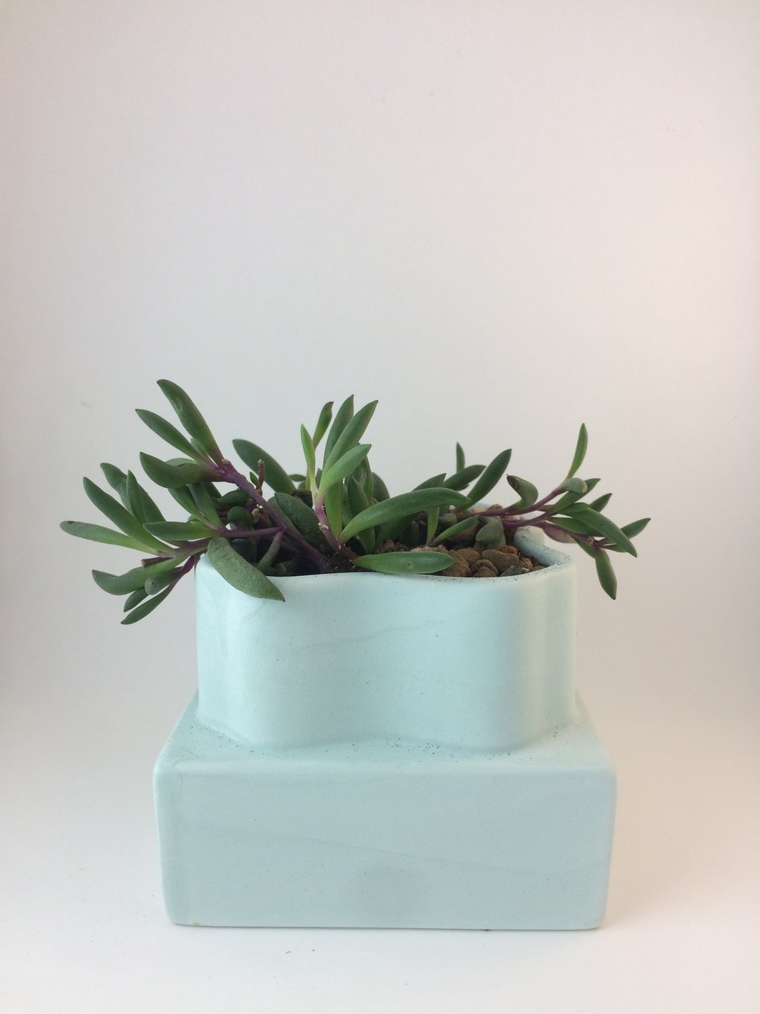 方慢花器-土蓝 - 植栽/盆栽 - 其他材质 绿色
