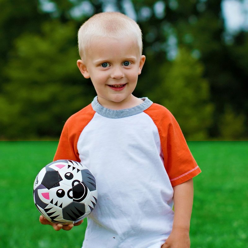 Daball儿童动物彩绘启蒙足球(斑马) - 玩具/玩偶 - 人造皮革 黑色