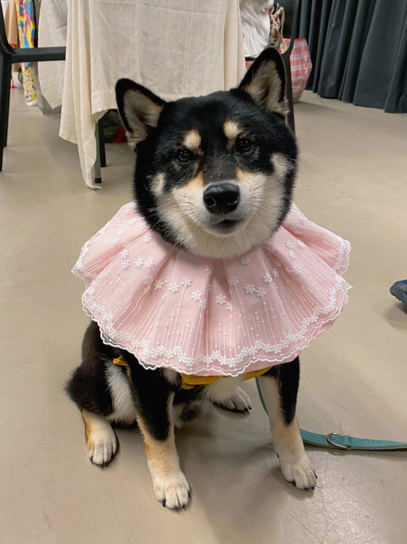 粉红公主口水肩 蕾丝公主款 猫狗项圈 四合扣款 - 衣/帽 - 棉．麻 粉红色