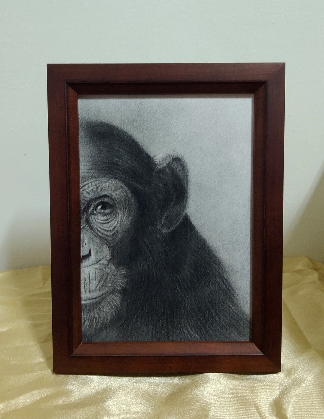 摆设 / 猩猩 / 炭精笔画 / 原稿 / 含框 - 海报/装饰画/版画 - 纸 
