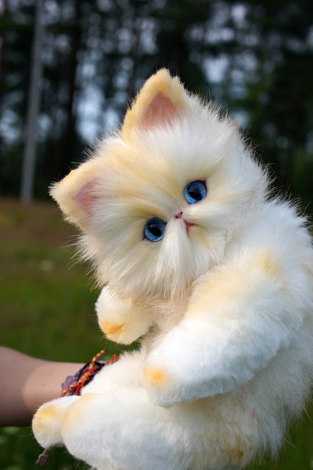 波斯猫小猫可爱毛绒玩具可动 - 玩偶/公仔 - 其他材质 多色
