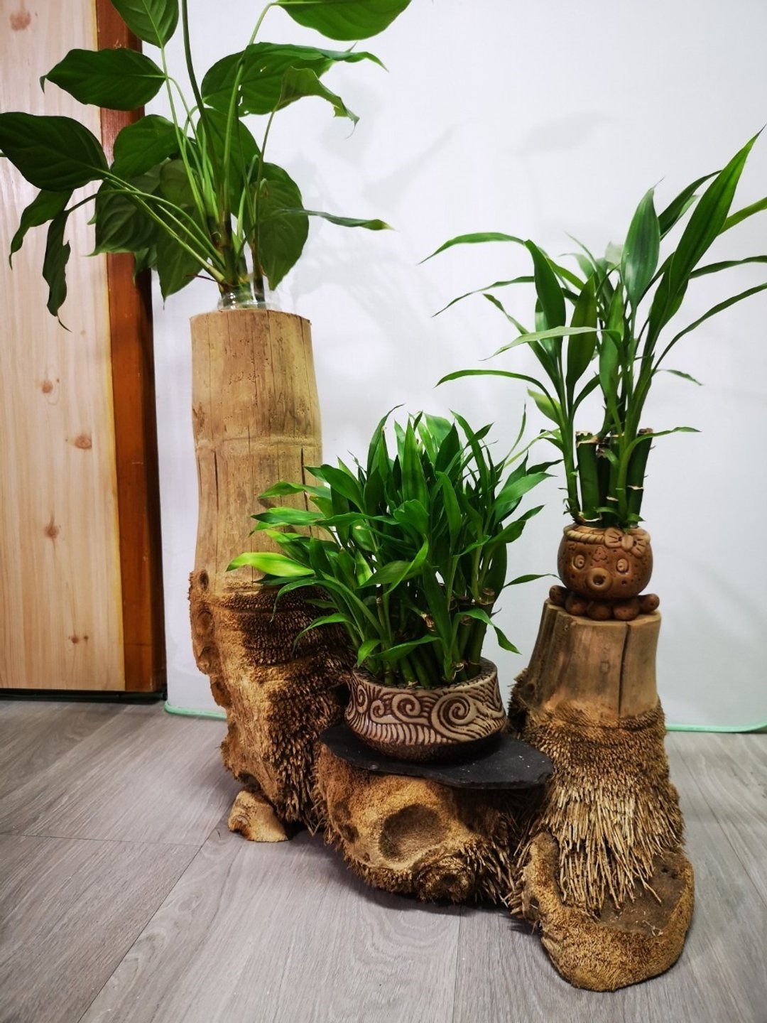 -双树头- 花架 花座 展示架 盆栽架 多肉植物 木头摆饰 - 植栽/盆栽 - 竹 卡其色