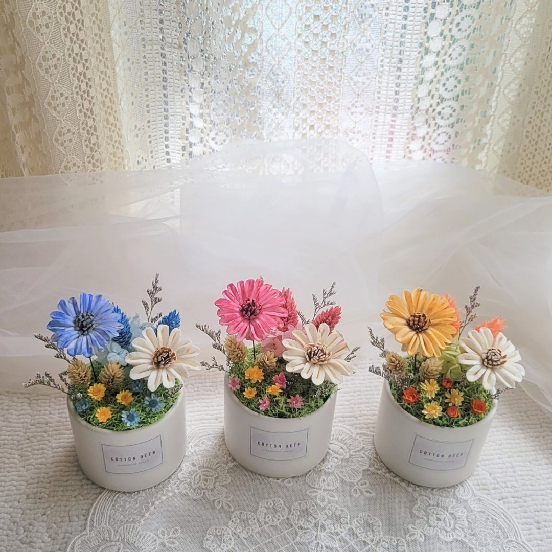 索拉太阳小桌花。盆花。摆饰。附包装。礼物。毕业花束。线下取货 - 干燥花/捧花 - 植物．花 