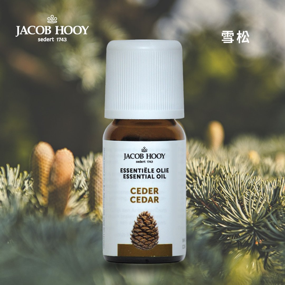 Jacob Hooy雅歌布霍伊 | 雪松精油 100%纯精油 扩香 水氧 芳疗 - 香薰/精油/线香 - 精油 