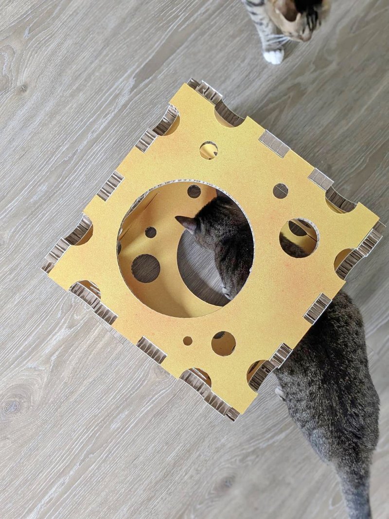 Cheezzz House/起士猫窝/100%纸/台湾制 - 碗/碗架 - 纸 橘色