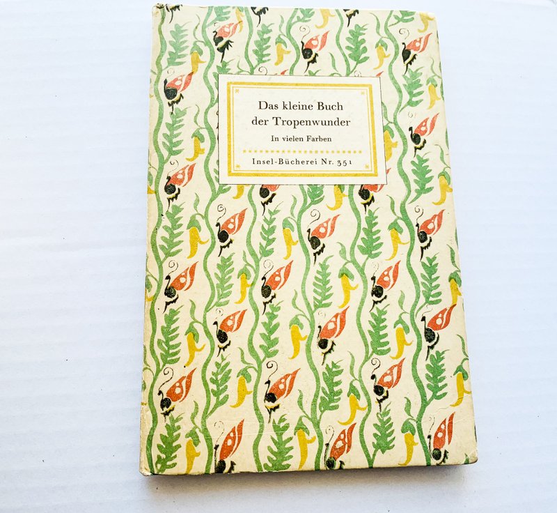 岛屿 / 美丽的岛屿 / 蝴蝶王国 / Tropenwunder 热带奇迹 古董 - 刊物/书籍 - 纸 