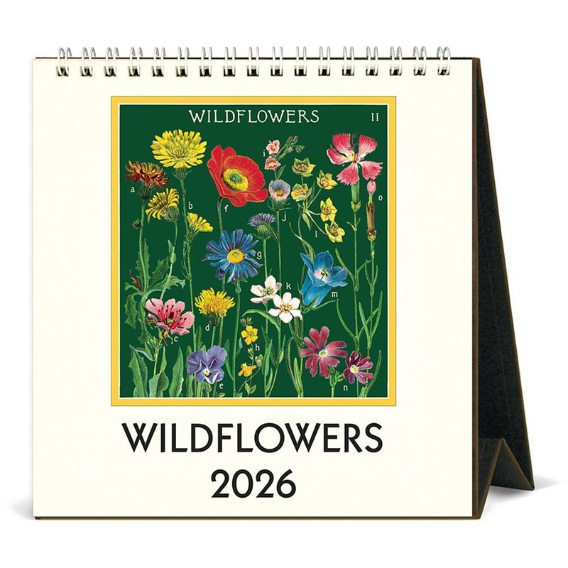 Cavallini & Co.  2026 桌历\月历 WILDFLOWERS - 年历/台历 - 纸 多色