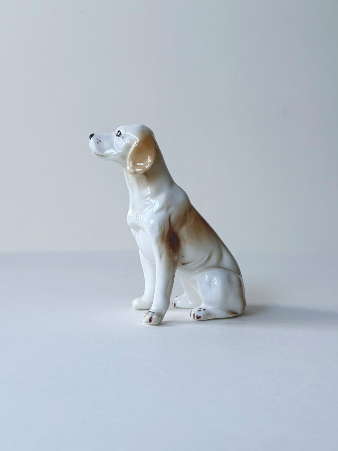 Vintage ceramic figurine 陶瓷摆饰聪明狗狗 - 摆饰 - 瓷 白色