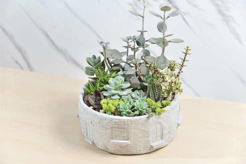 超大城堡多肉组盆 | 升官 乔迁 开幕 盆栽 - 植栽/盆栽 - 植物．花 绿色